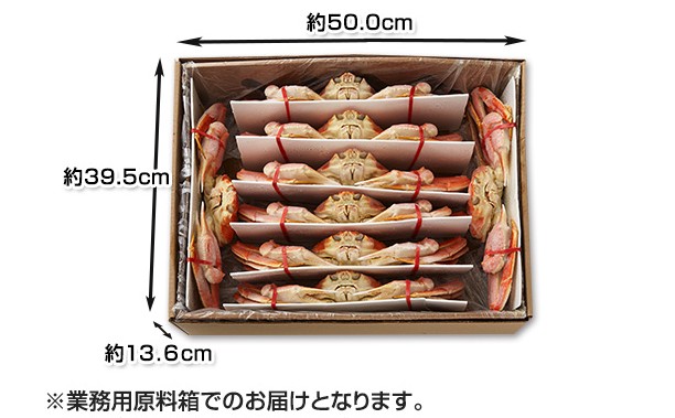 {C{킢Ip4.5kg̍